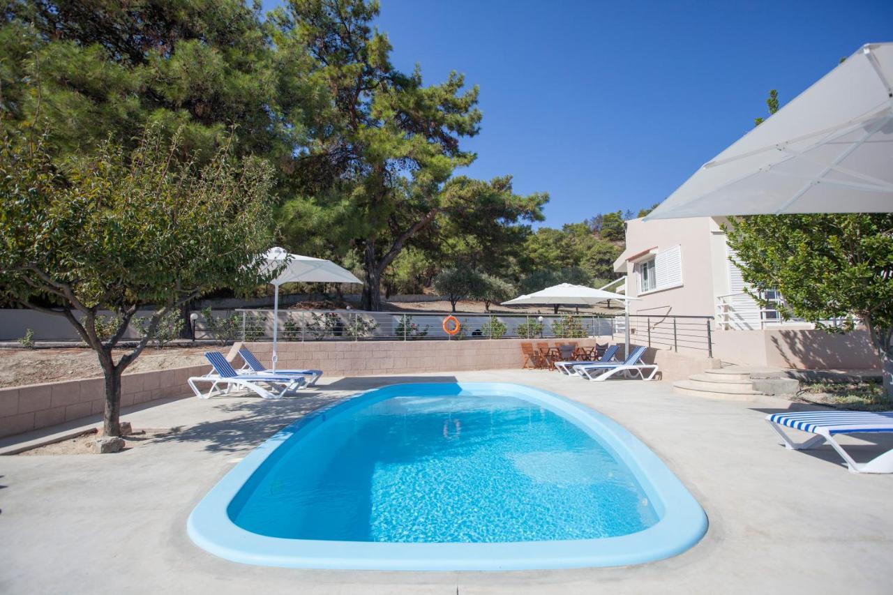 The Olive Grove Villa Private Pool With Star Links Wifi Theológos Exterior foto