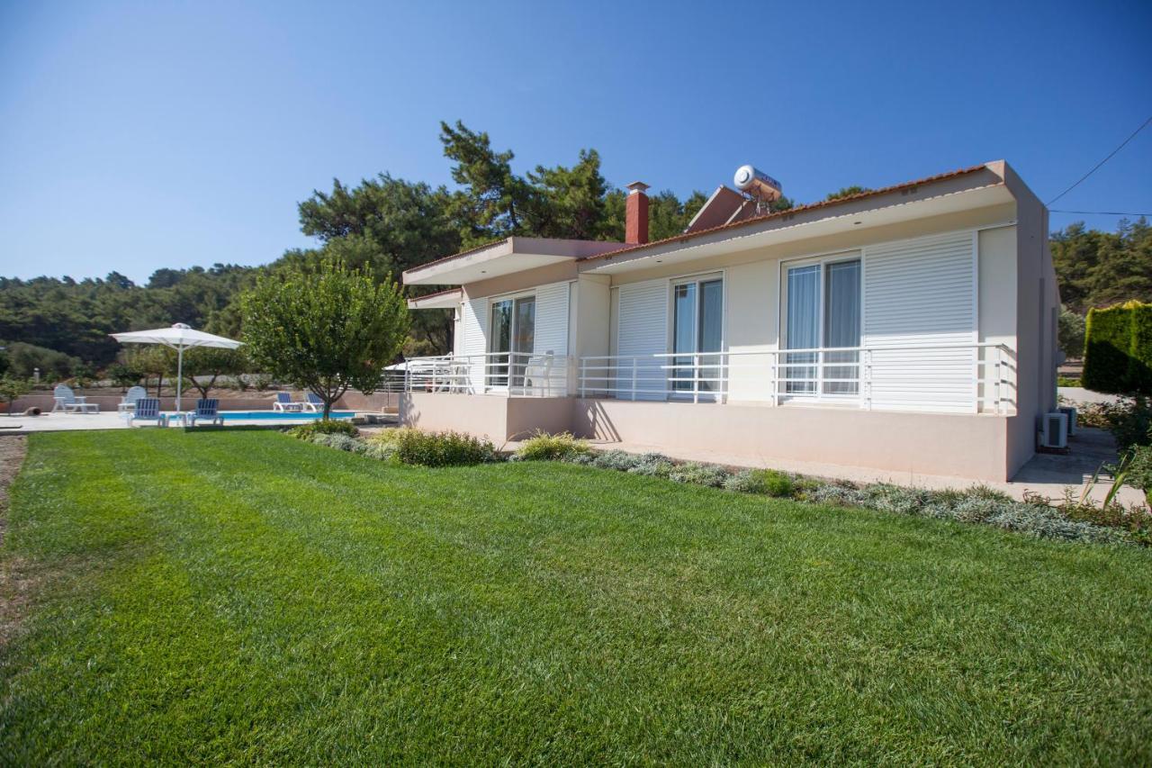 The Olive Grove Villa Private Pool With Star Links Wifi Theológos Exterior foto
