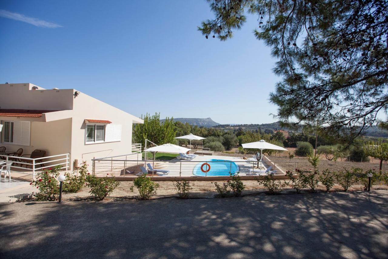 The Olive Grove Villa Private Pool With Star Links Wifi Theológos Exterior foto