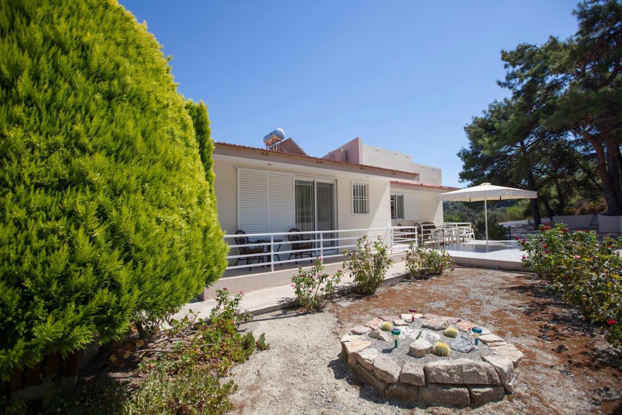 The Olive Grove Villa Private Pool With Star Links Wifi Theológos Exterior foto