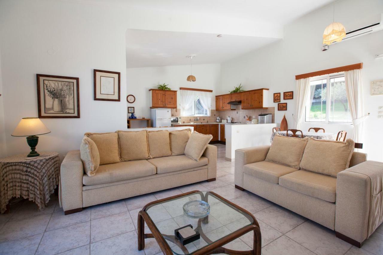 The Olive Grove Villa Private Pool With Star Links Wifi Theológos Exterior foto